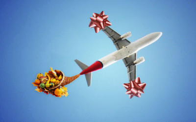 Seven Survival Tips for Holiday Travel